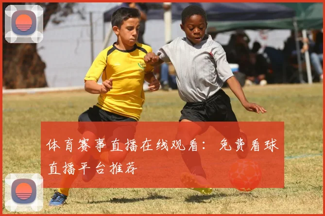 体育赛事直播在线观看：免费看球直播平台推荐
